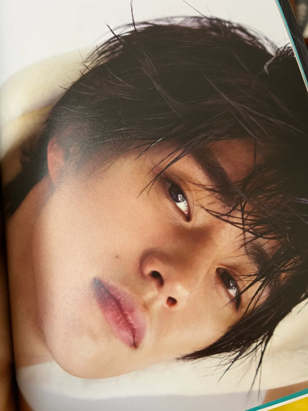 醍醐虎汰朗1st写真集となりのこたろー 部分访谈