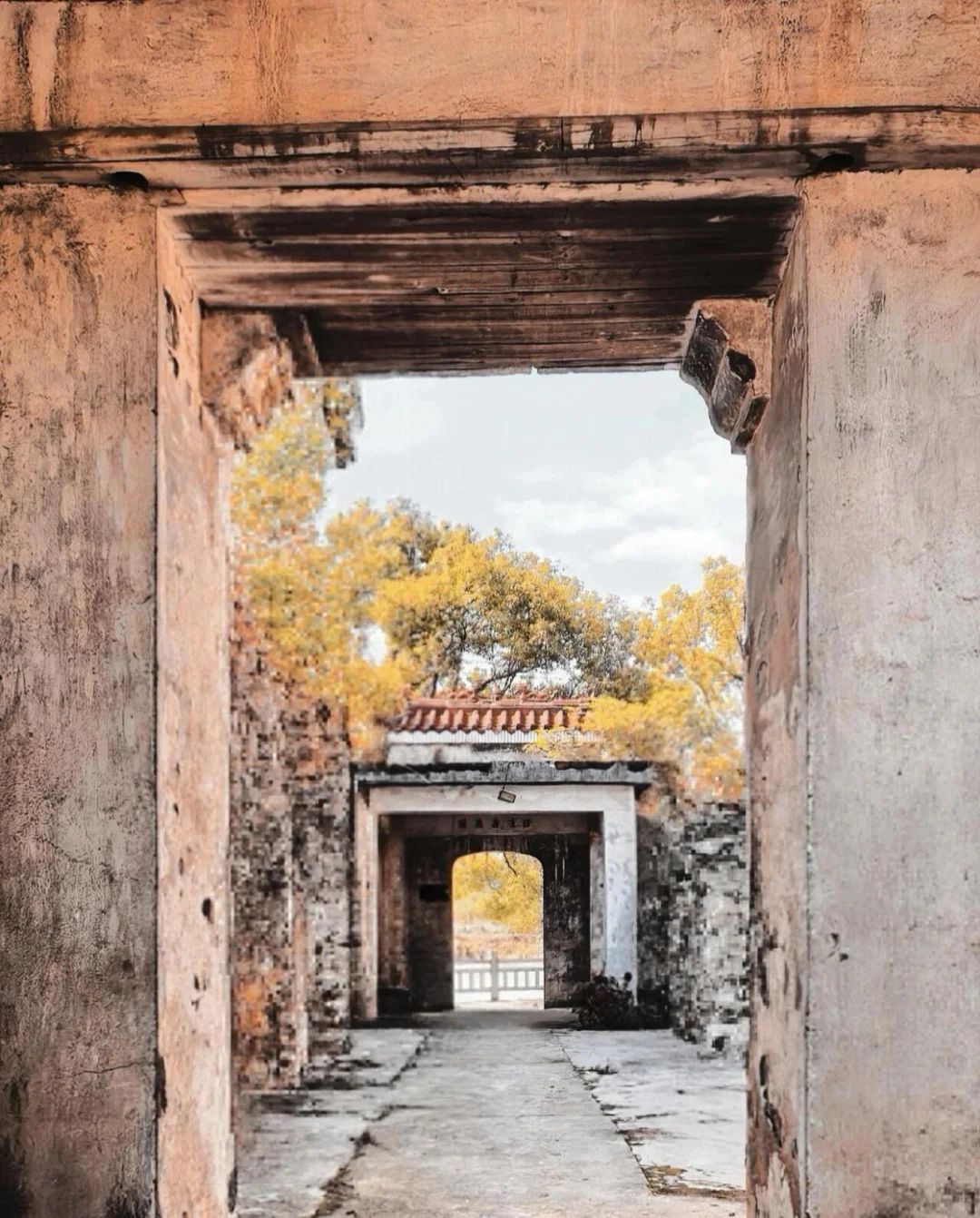 童年记忆，成年的斑驳！