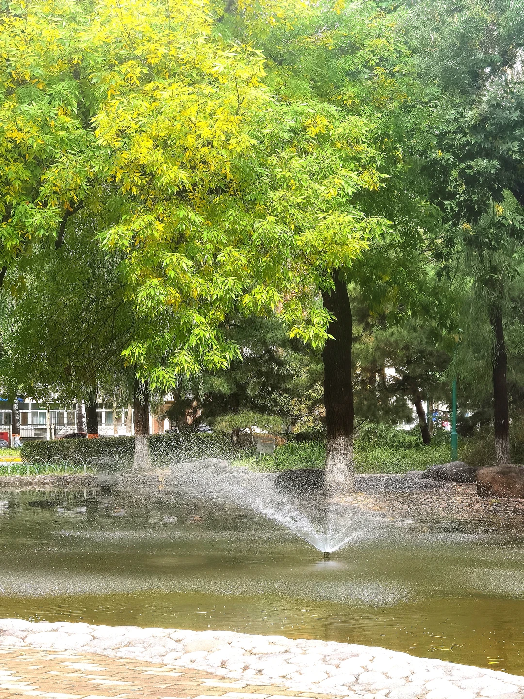 人活着就是为了这样一些鲜活的瞬间