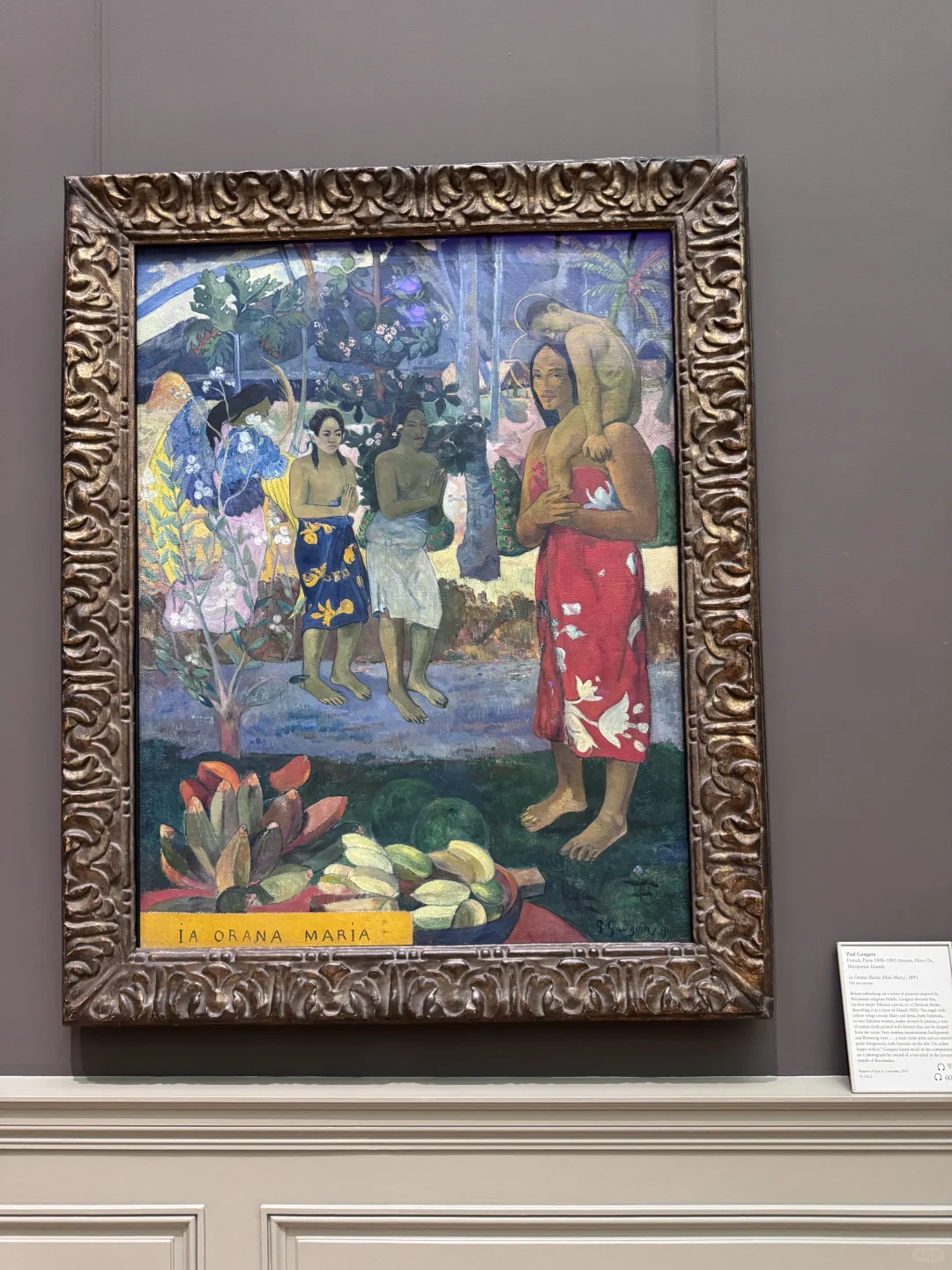 肉肉腿亮丝的一天～