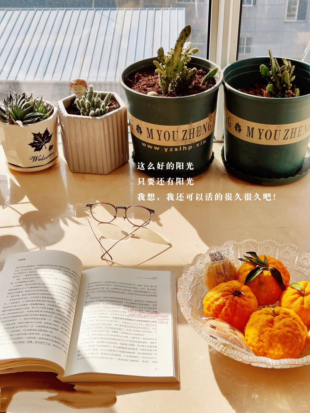 阳光好的日子，就觉得自己还可以活很久很久