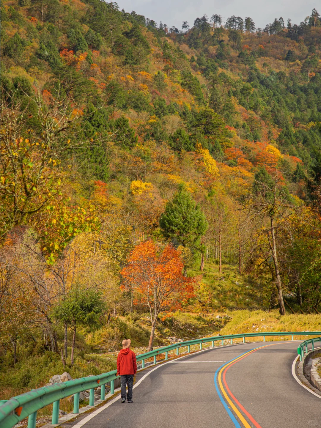 喇叭河秋景正当时🍁交换一张你拍的秋!