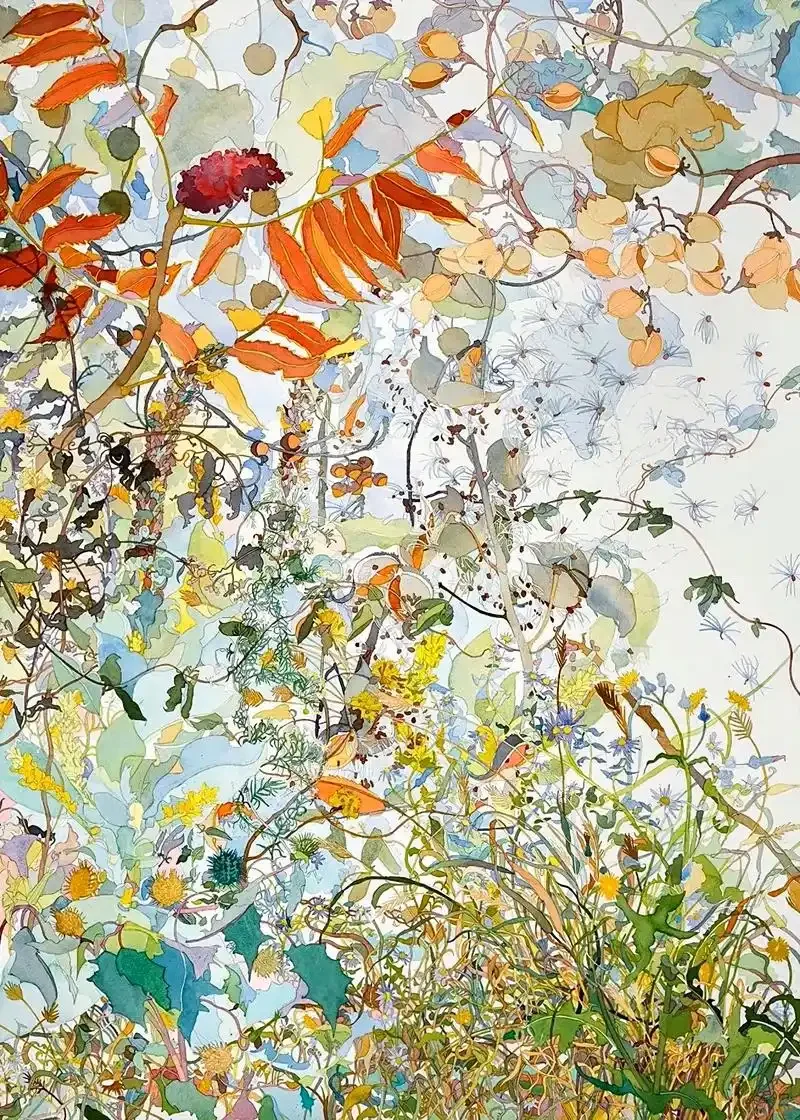 🎨✨微观草木里的生命诗学✨🎨