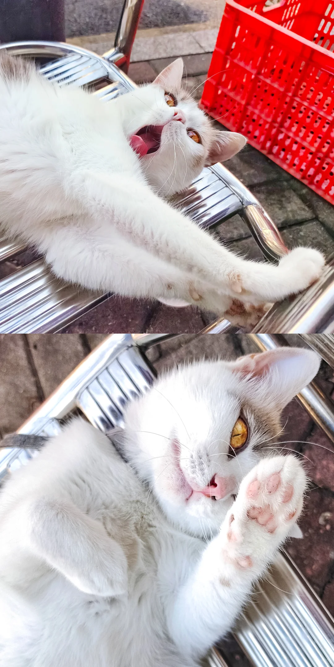 妩媚娇羞于一身