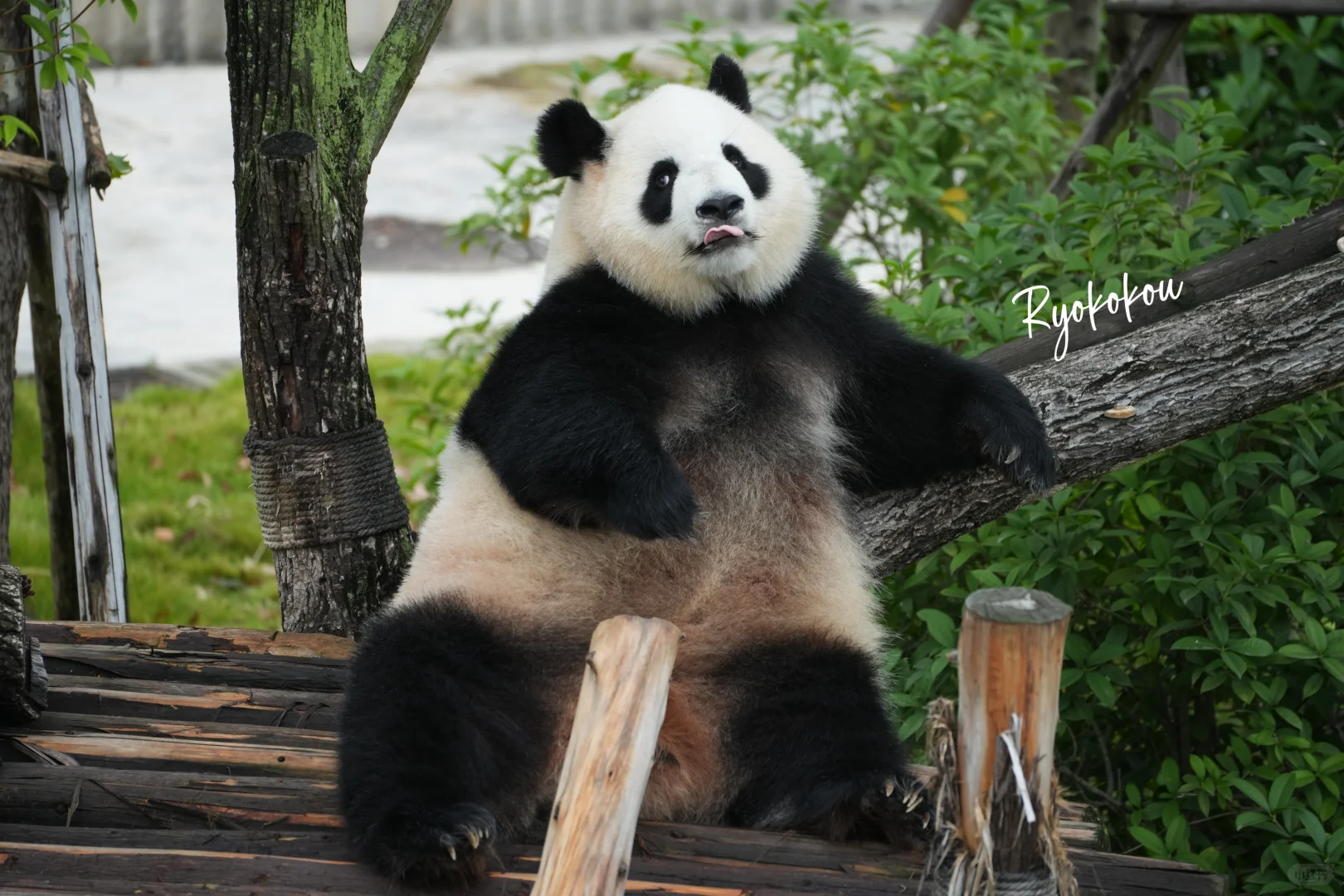 241021 淼淼 你好月巴美☺️