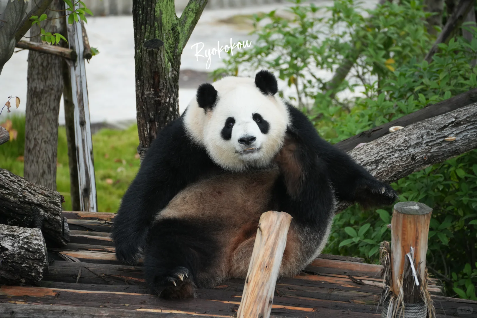 241021 淼淼 你好月巴美☺️