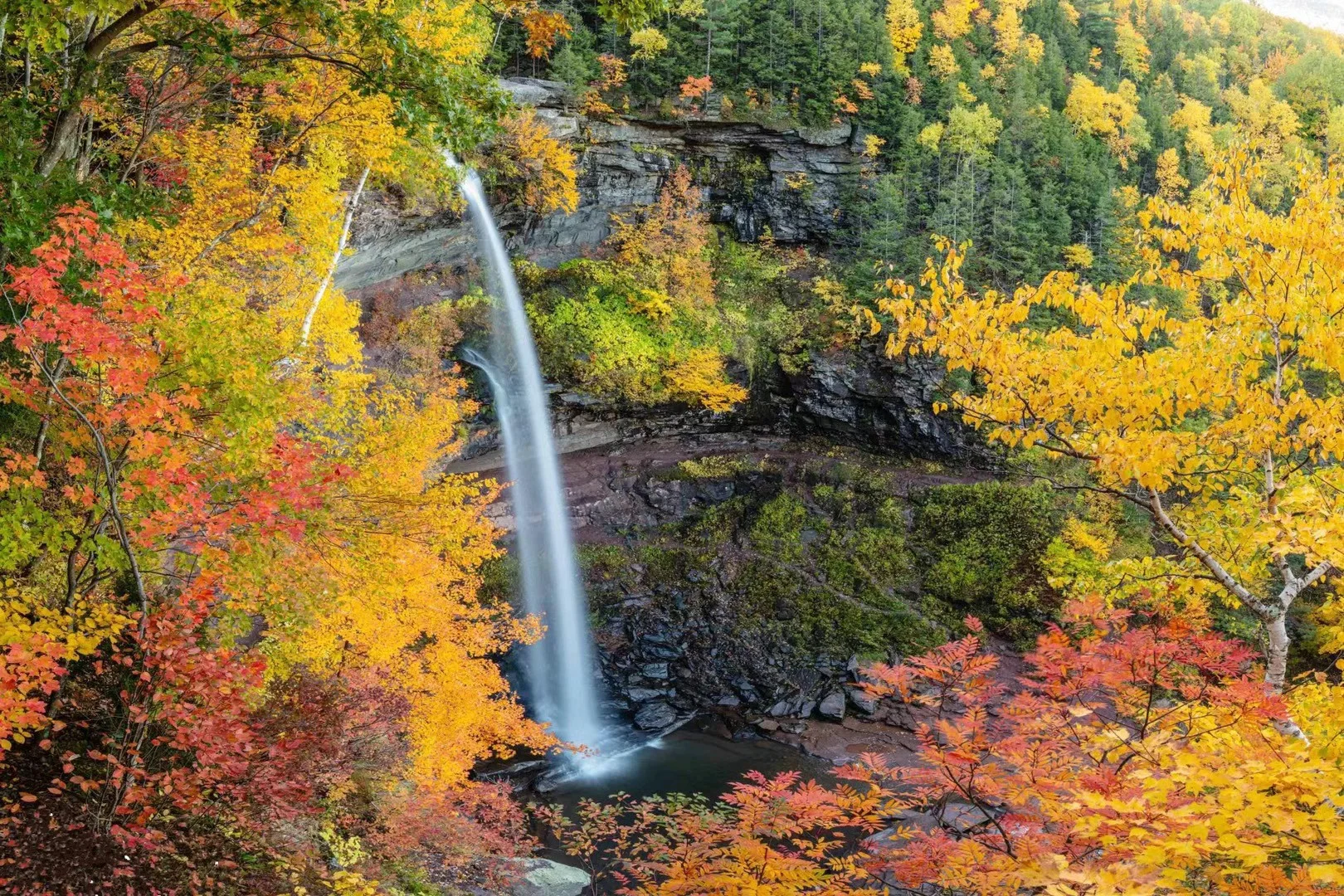 🍂如醉之我秋｜美东纽约上州·赏红叶攻略日记
