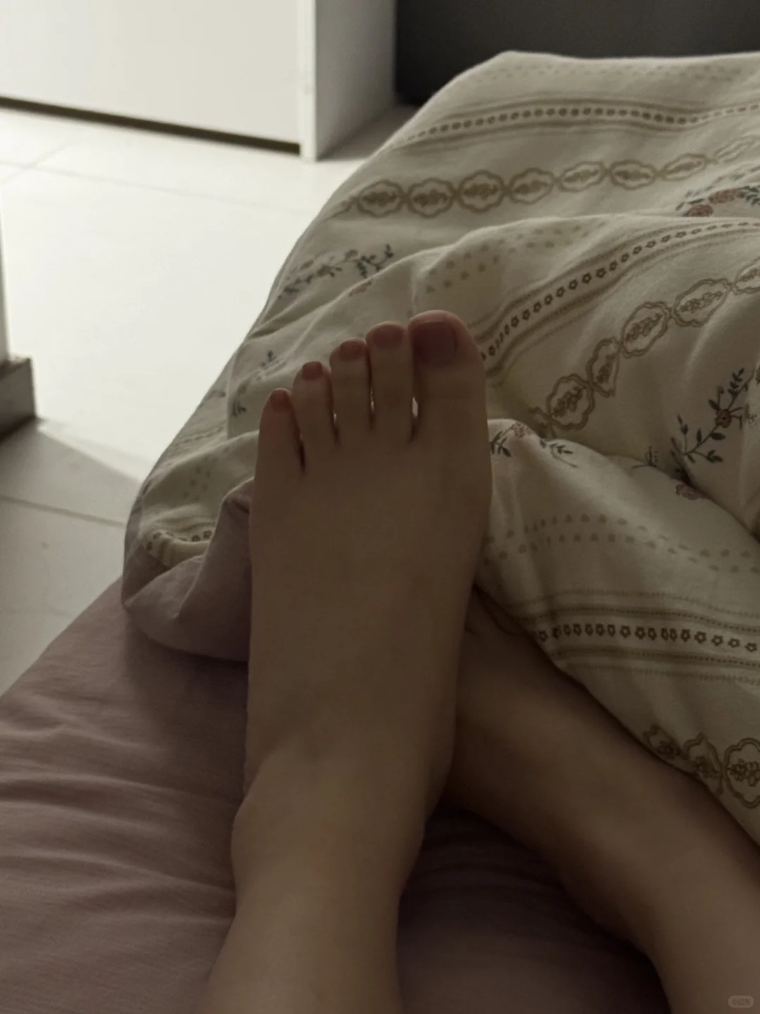 营养均衡的jio jio