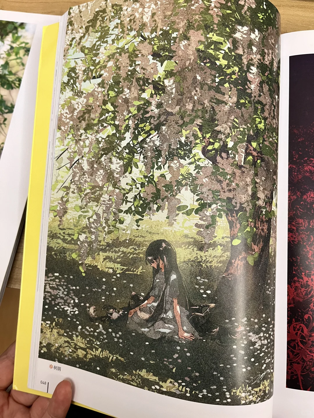 我的照片和我喜欢的画册！！！！