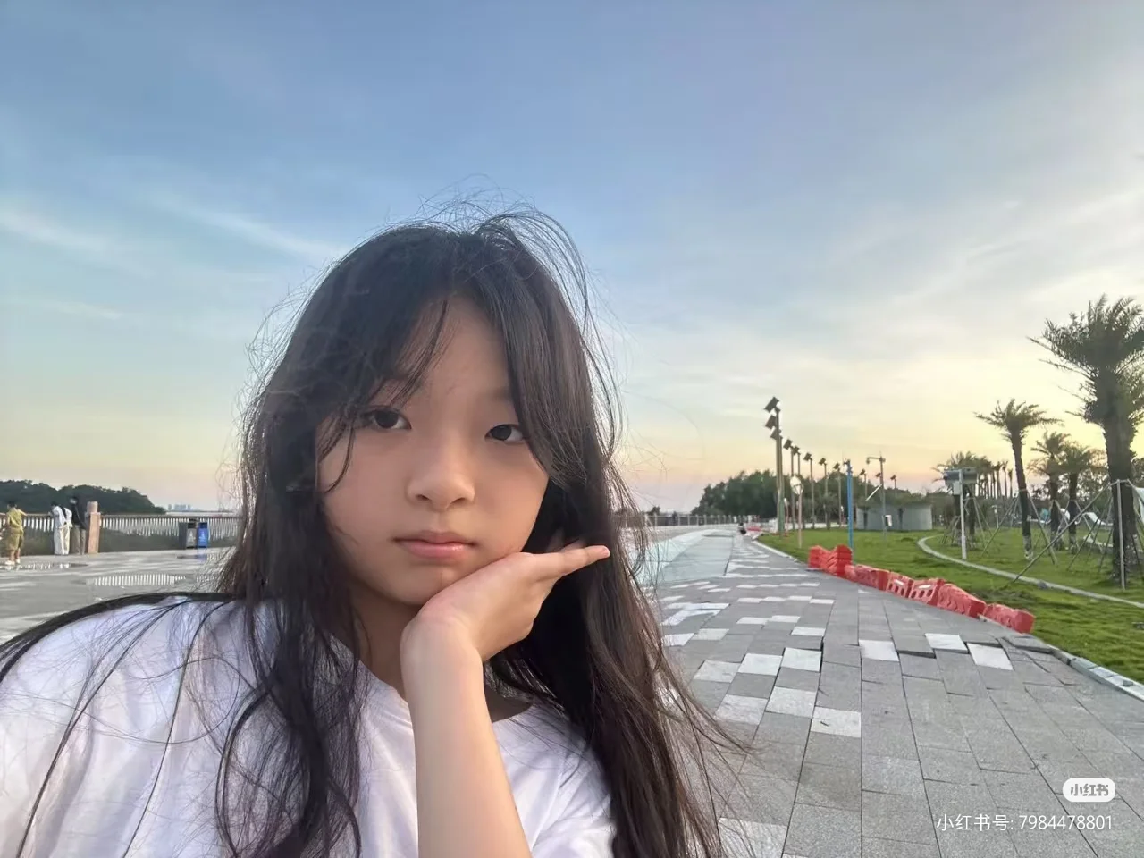 露脸,最后一期作者已停更😅