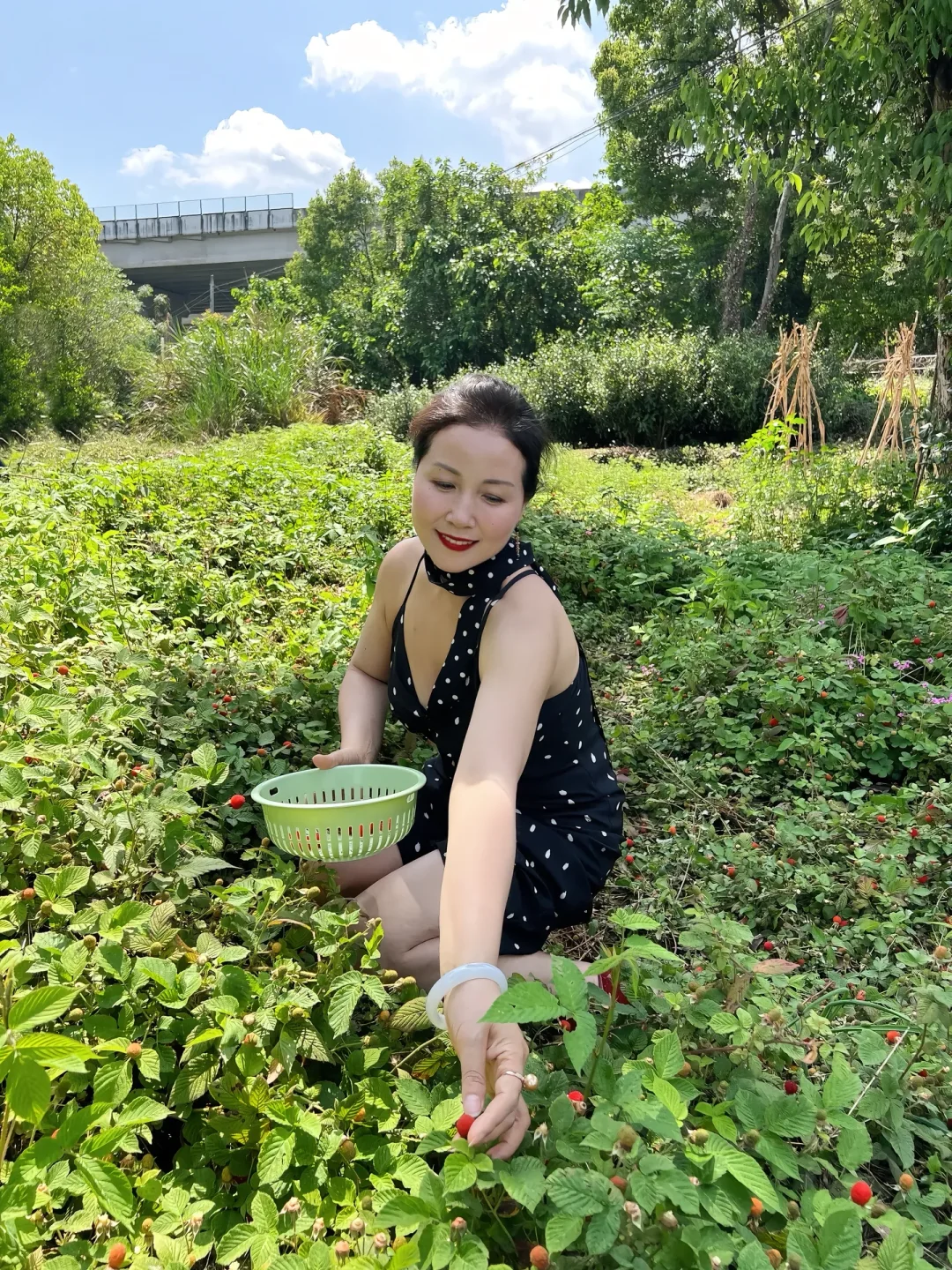 50岁照样可以活成自己喜欢的模样