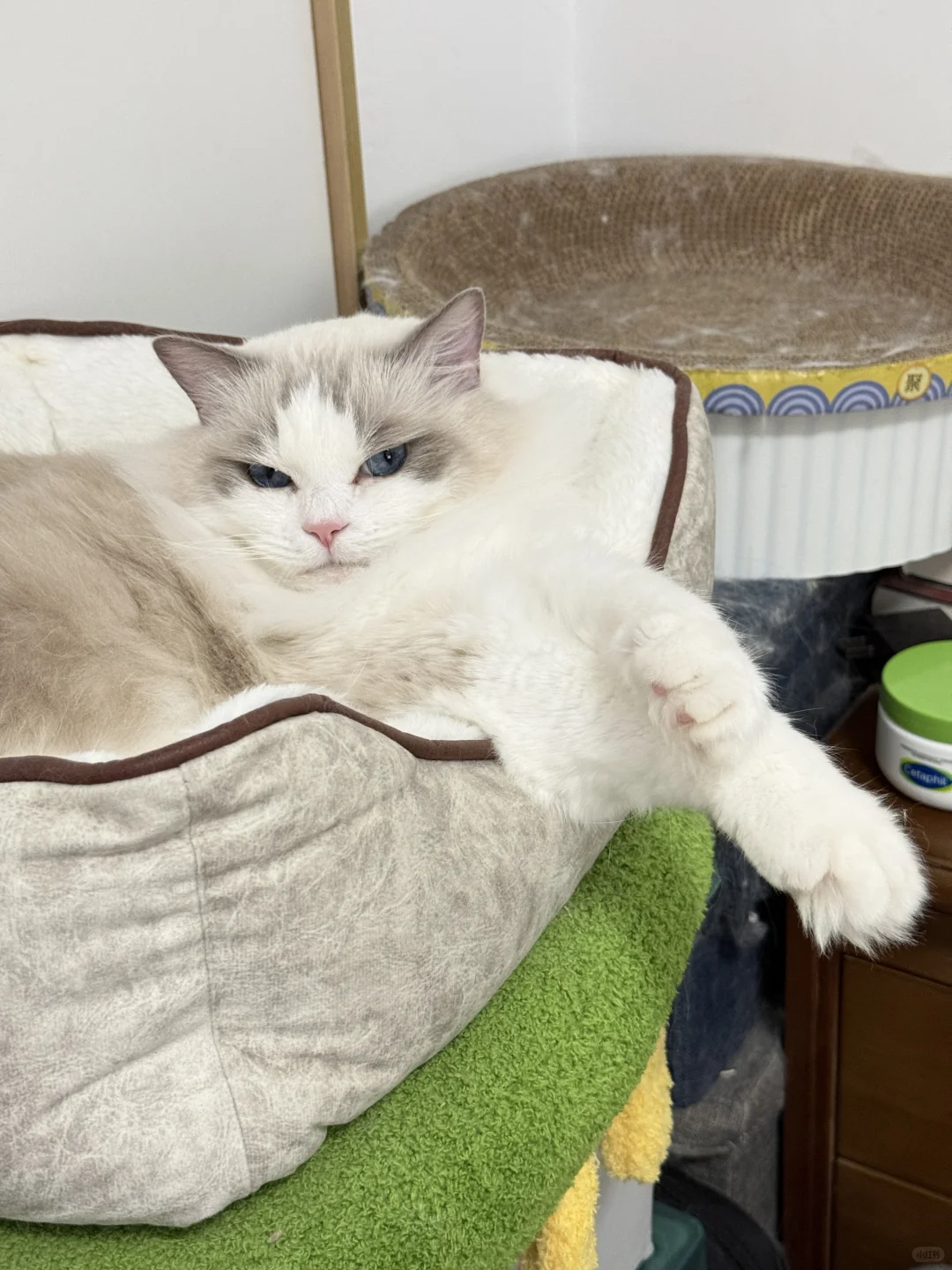 请欣赏宝的美足