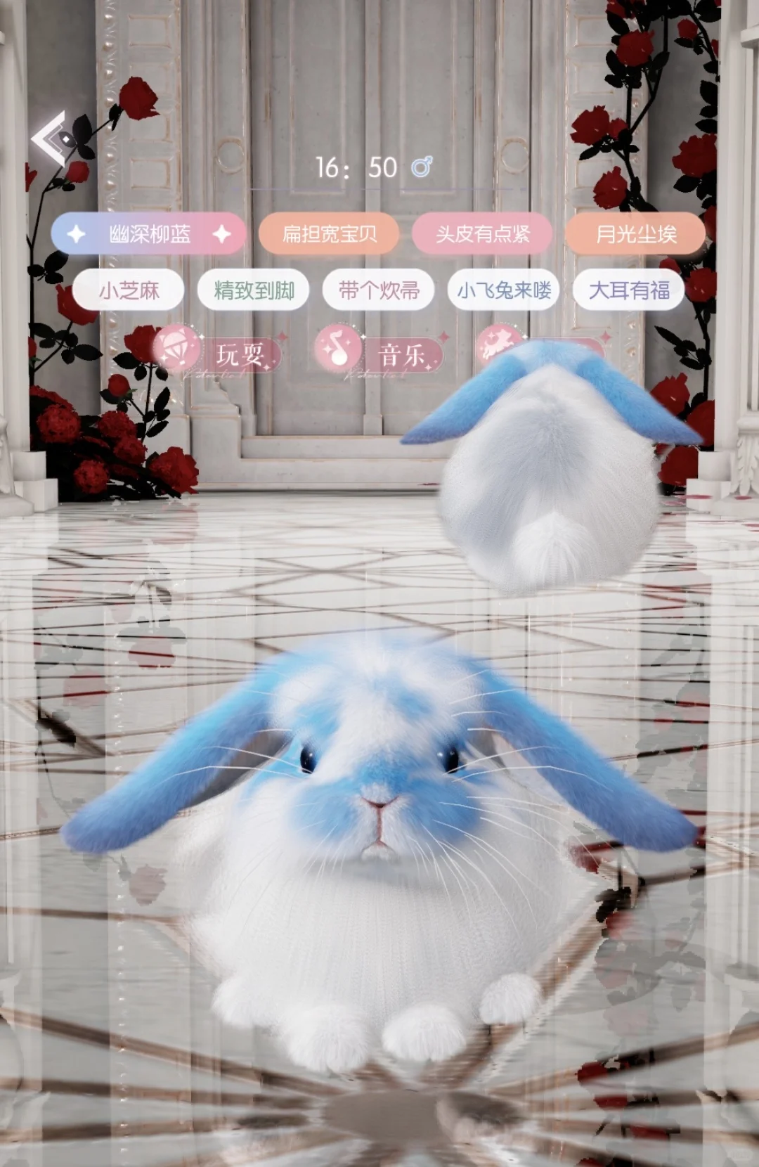 两只阿尼亚弟弟约亲