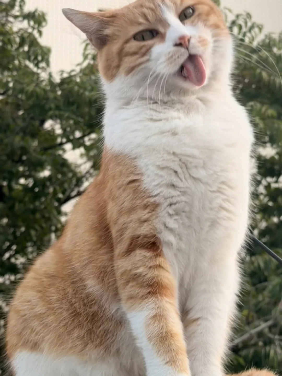 美照征集中！！！