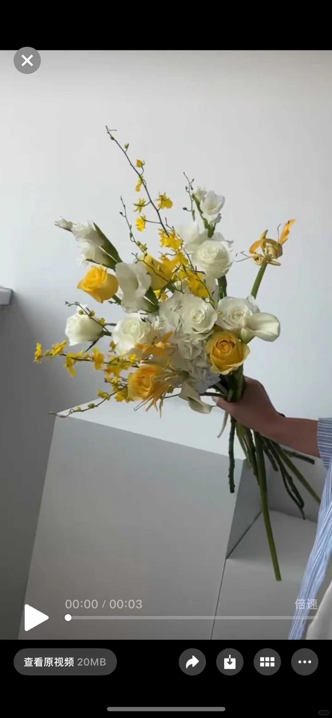 2025送出的一些审美在线的花