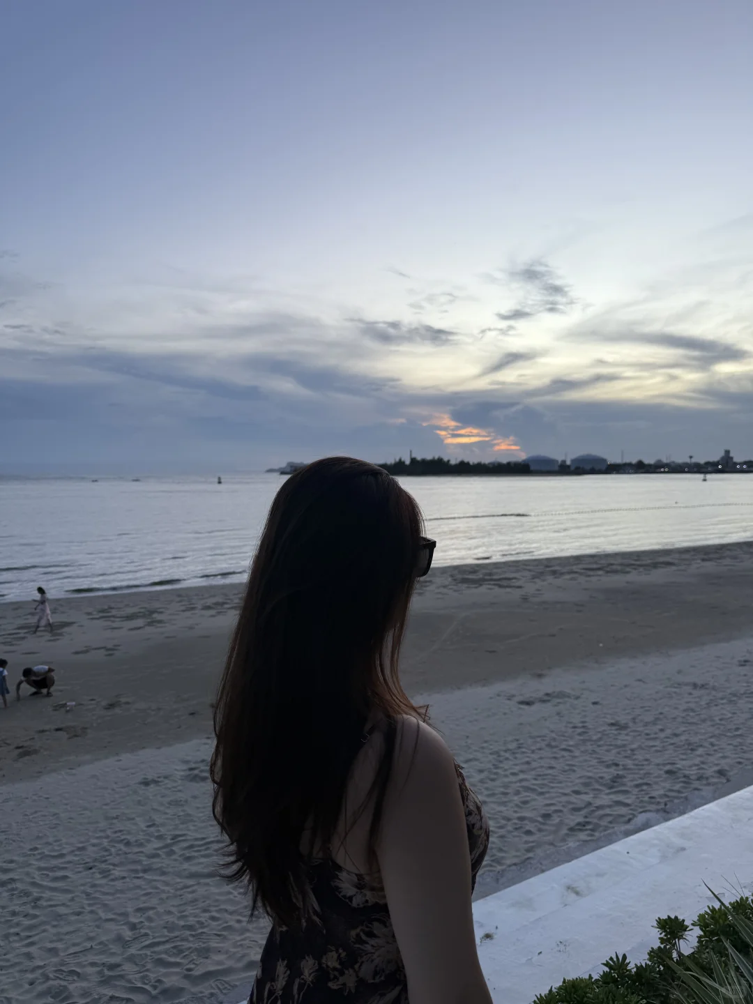 小狗与海我都喜欢🌊