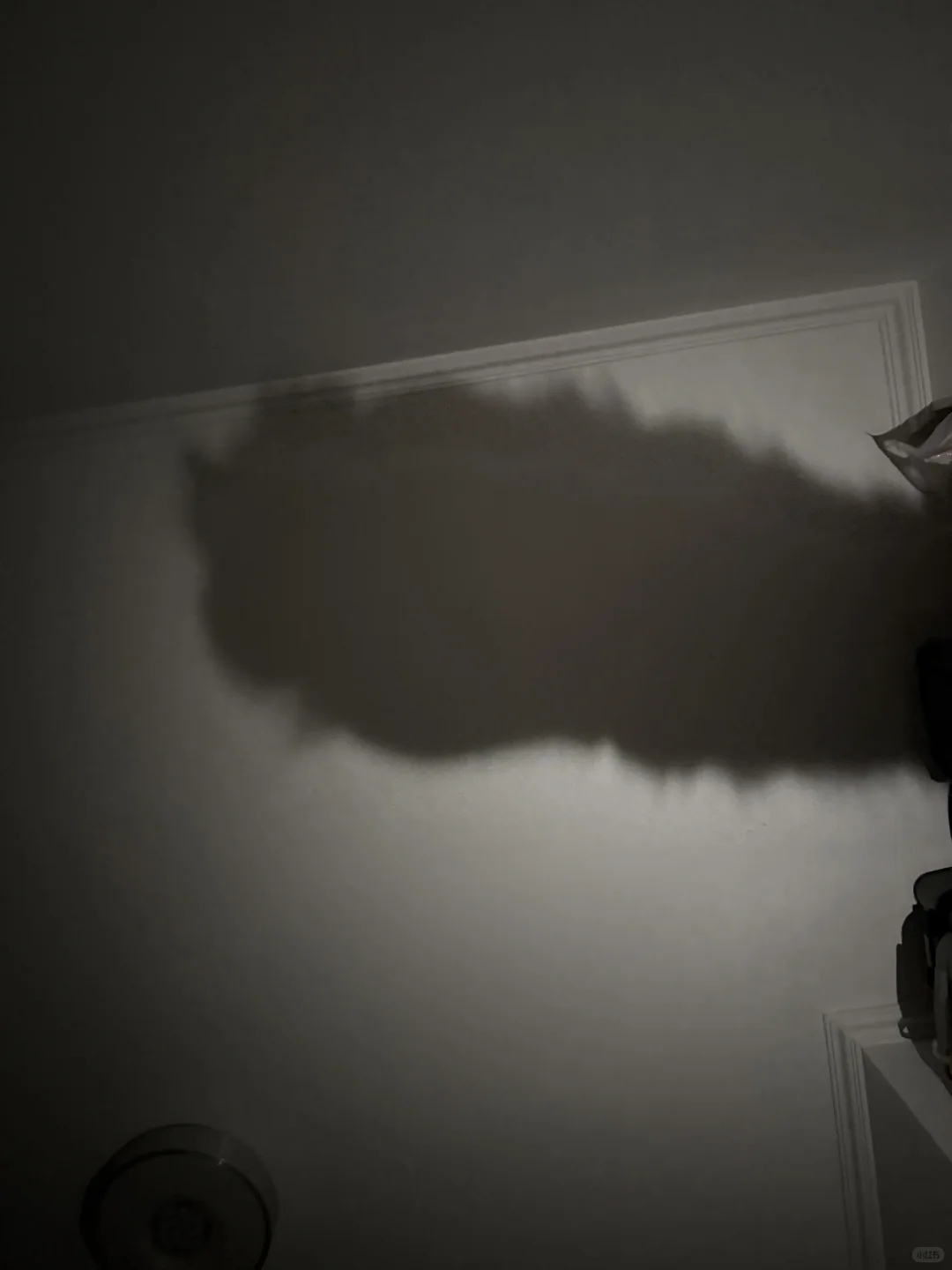 咪の美足之大脚马皇后