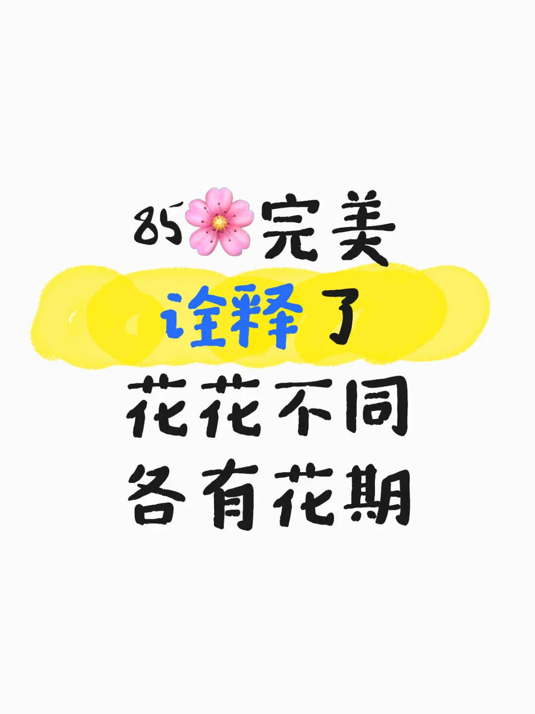 少女 熟女 中女 静待花开🌸