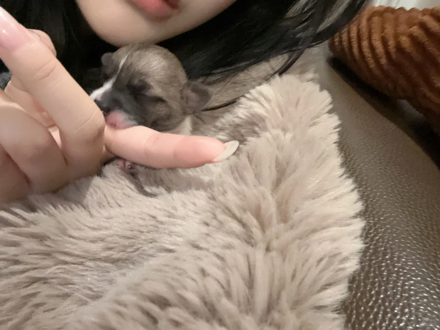 用高中买的iPhone8拍了个照