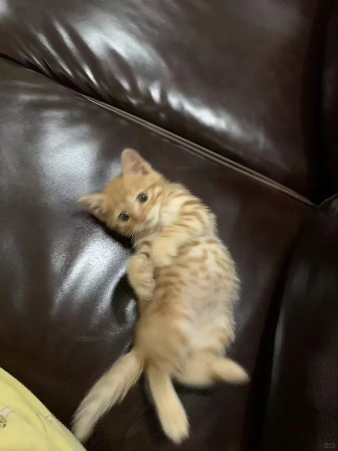 人 左滑看我长大