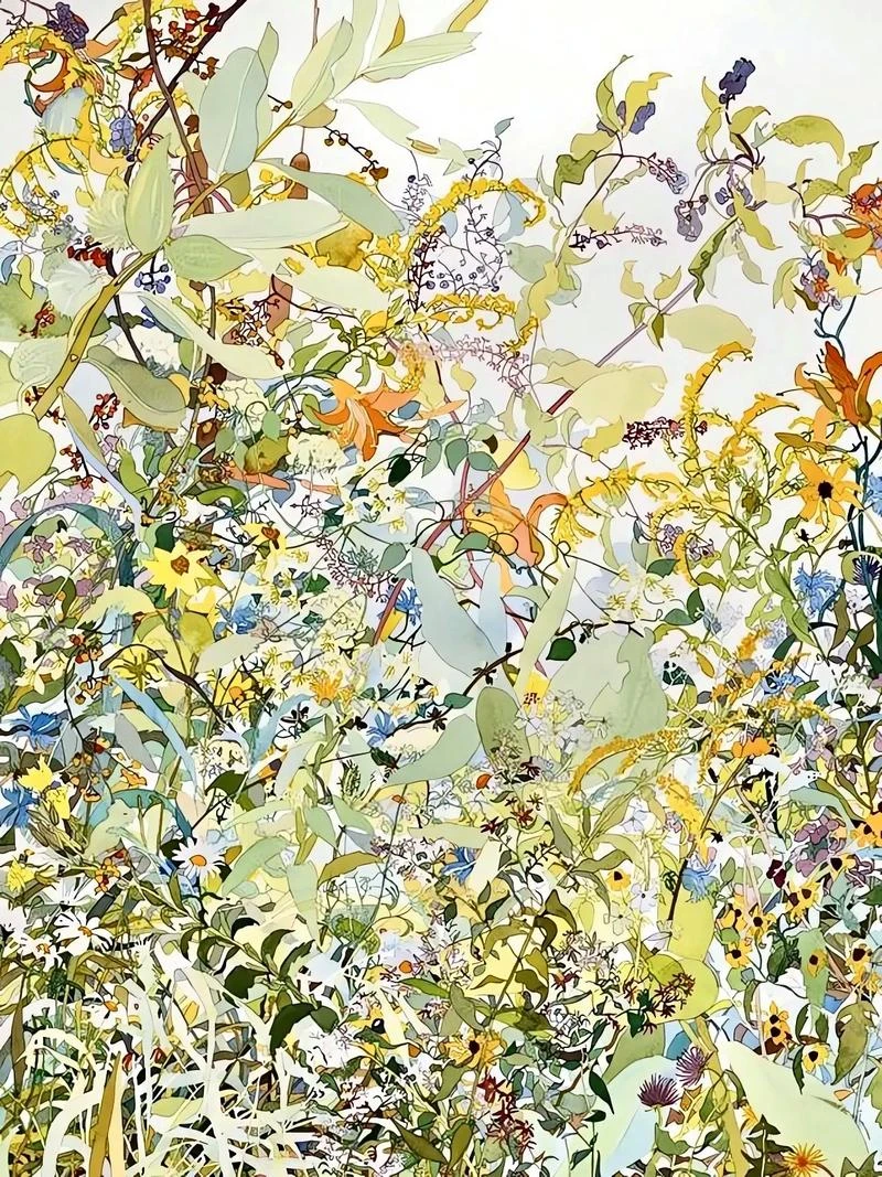 🎨✨微观草木里的生命诗学✨🎨