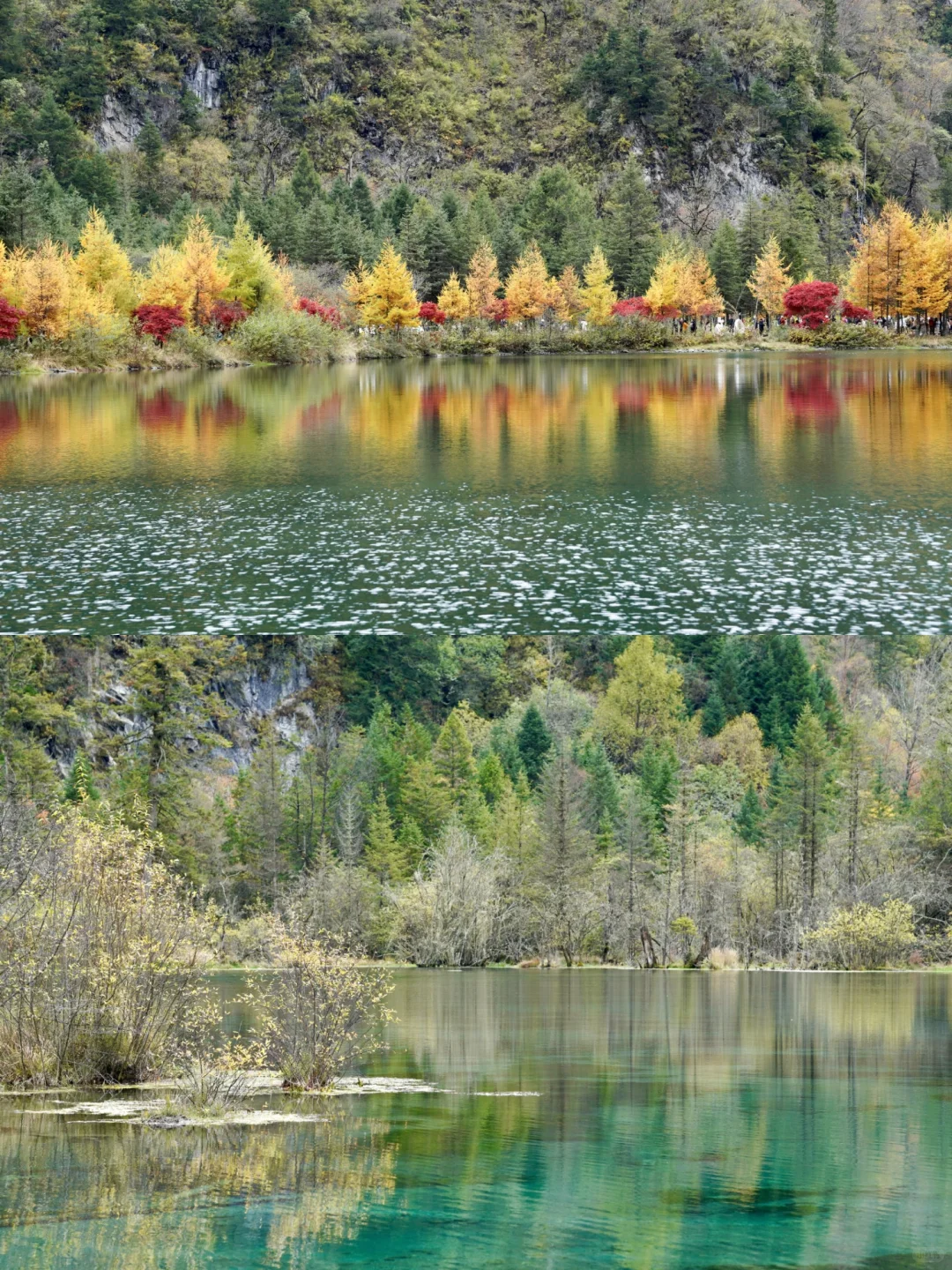 毕棚沟彩林此刻封神🍁沉醉其中无法自拔?
