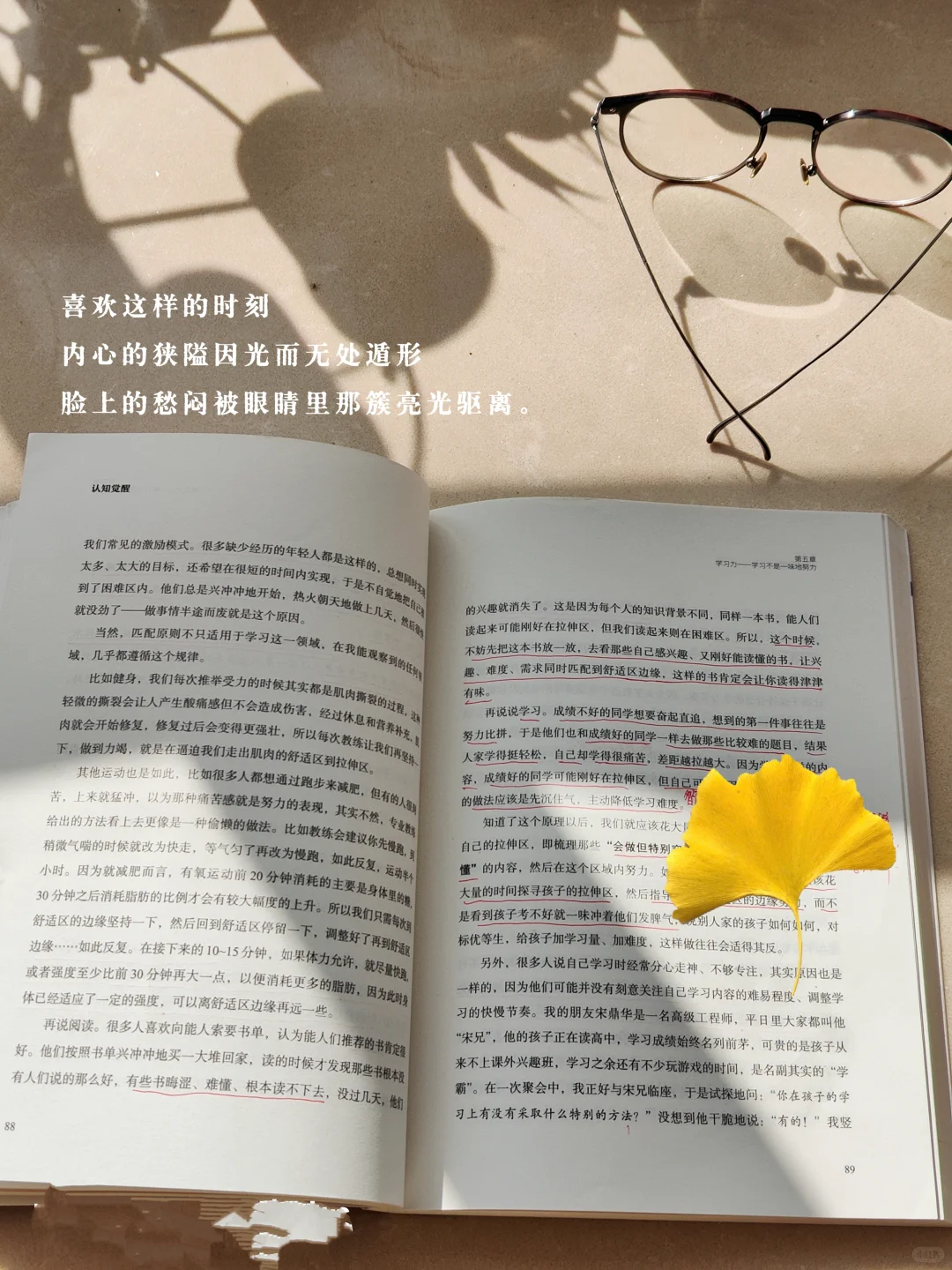 阳光好的日子，就觉得自己还可以活很久很久