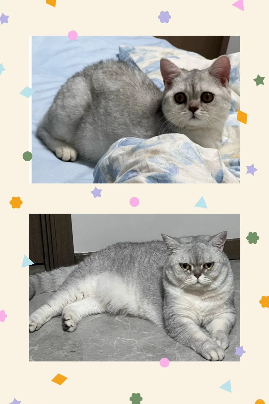 看我几分像从前！！