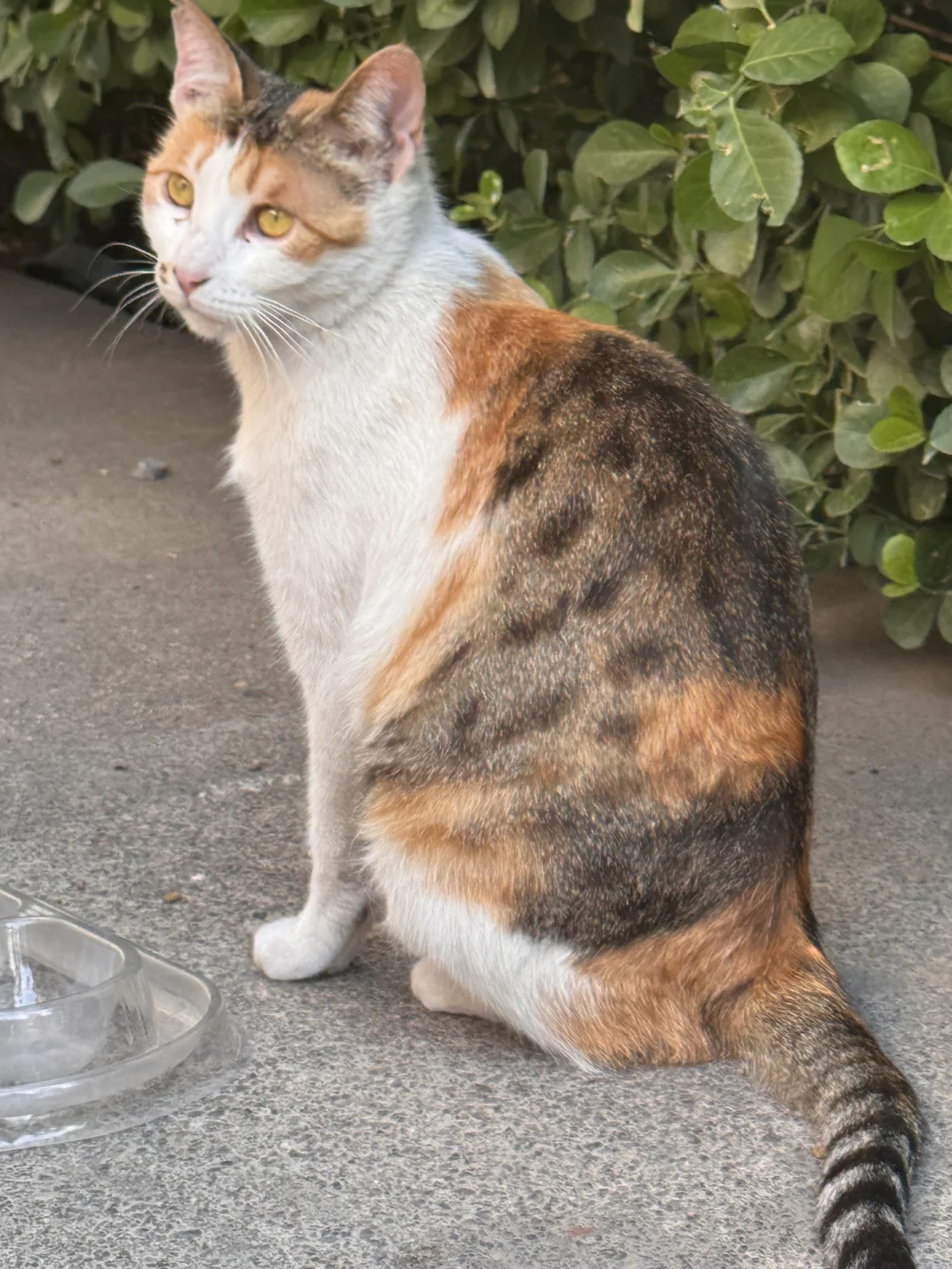 美照征集中！！！