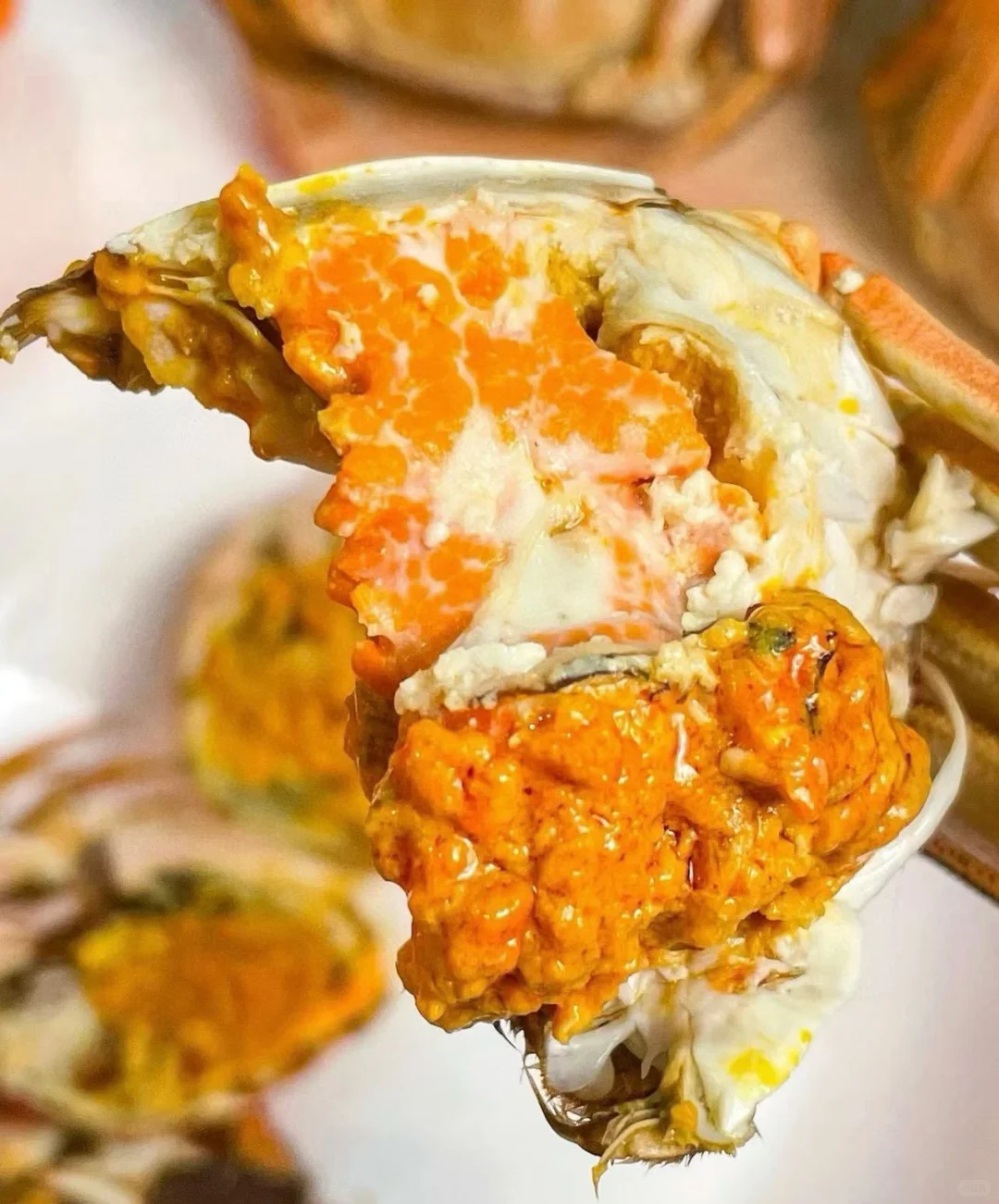 这是什么神仙蟹！巨肥美！