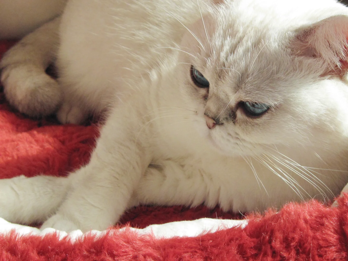 这ccd拍的也太美了吧