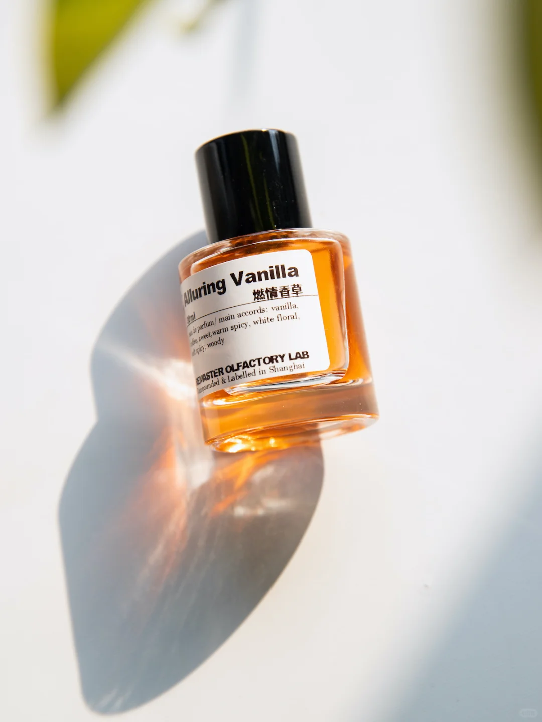 周末了 一波美照来袭～