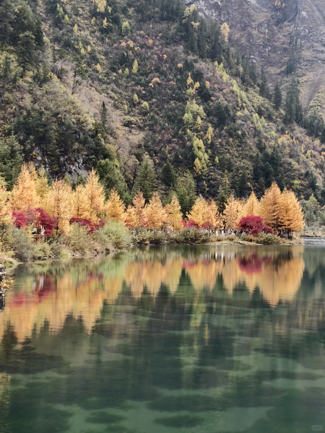 毕棚沟彩林此刻封神🍁沉醉其中无法自拔?