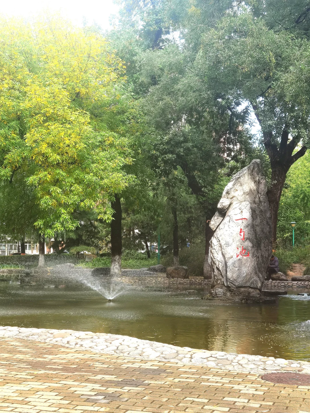 人活着就是为了这样一些鲜活的瞬间