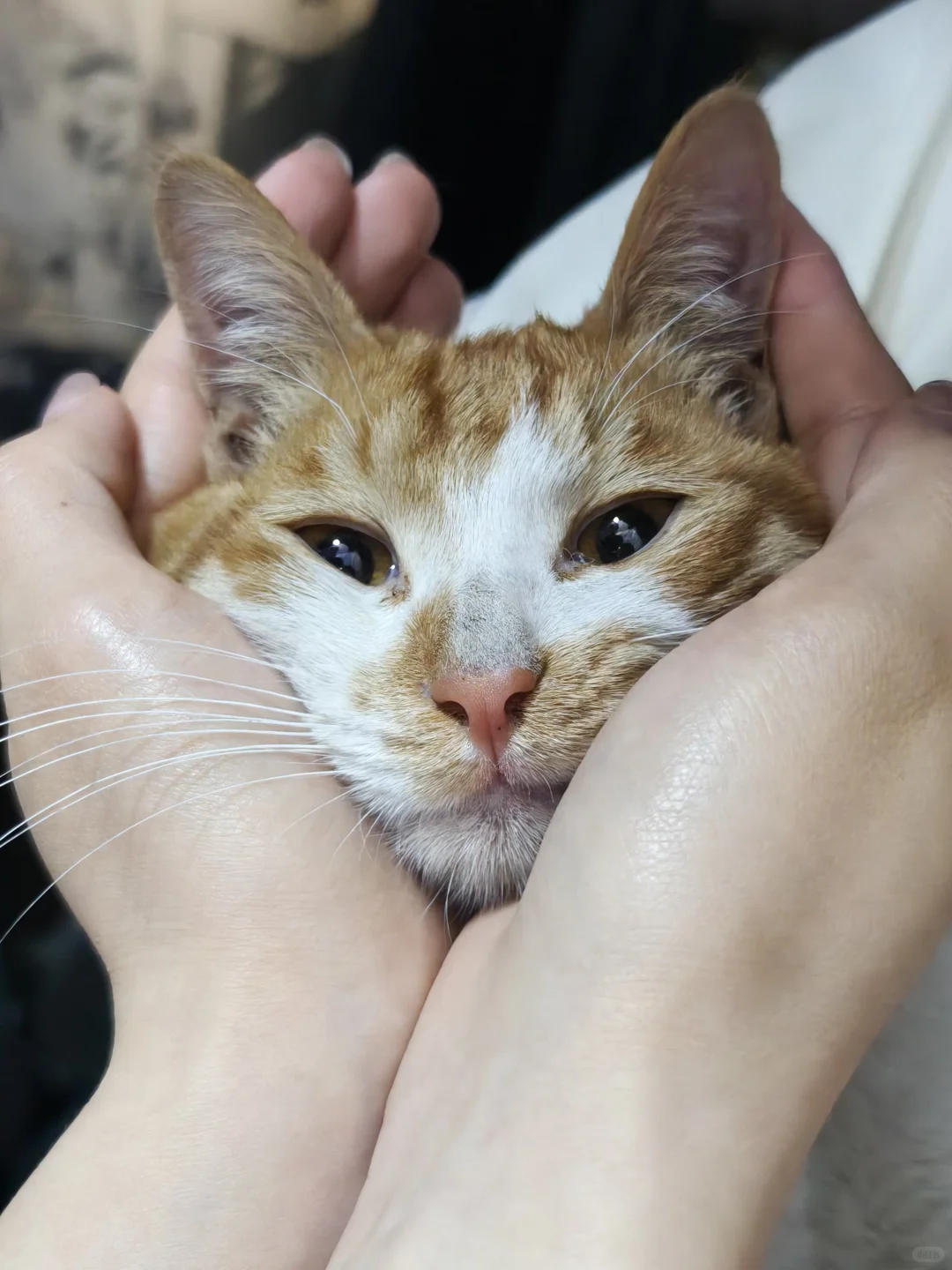 美照征集中！！！