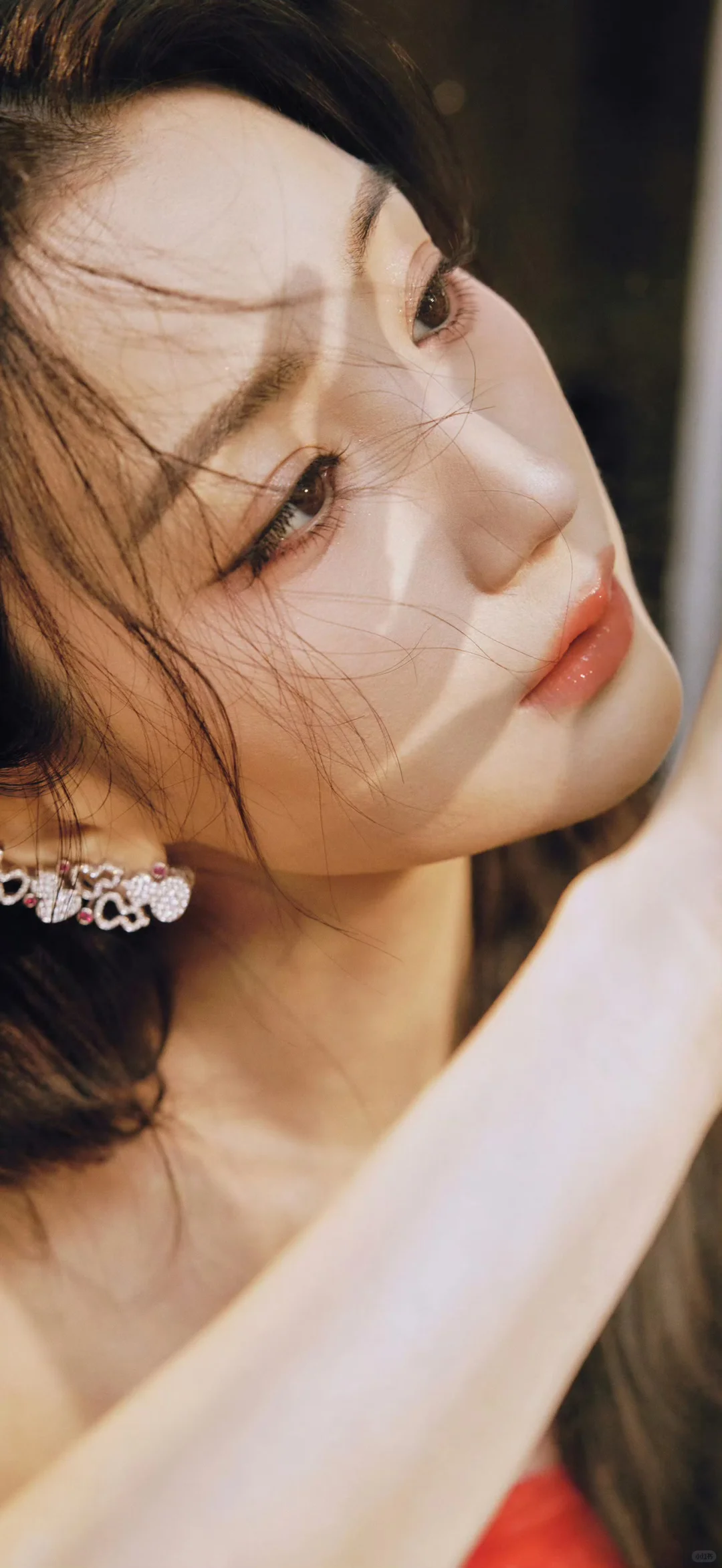 20251110明星壁纸｜【毛晓彤】～