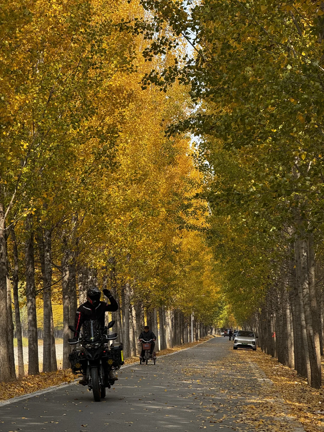 打卡聊城秋天最佳观赏地🍂