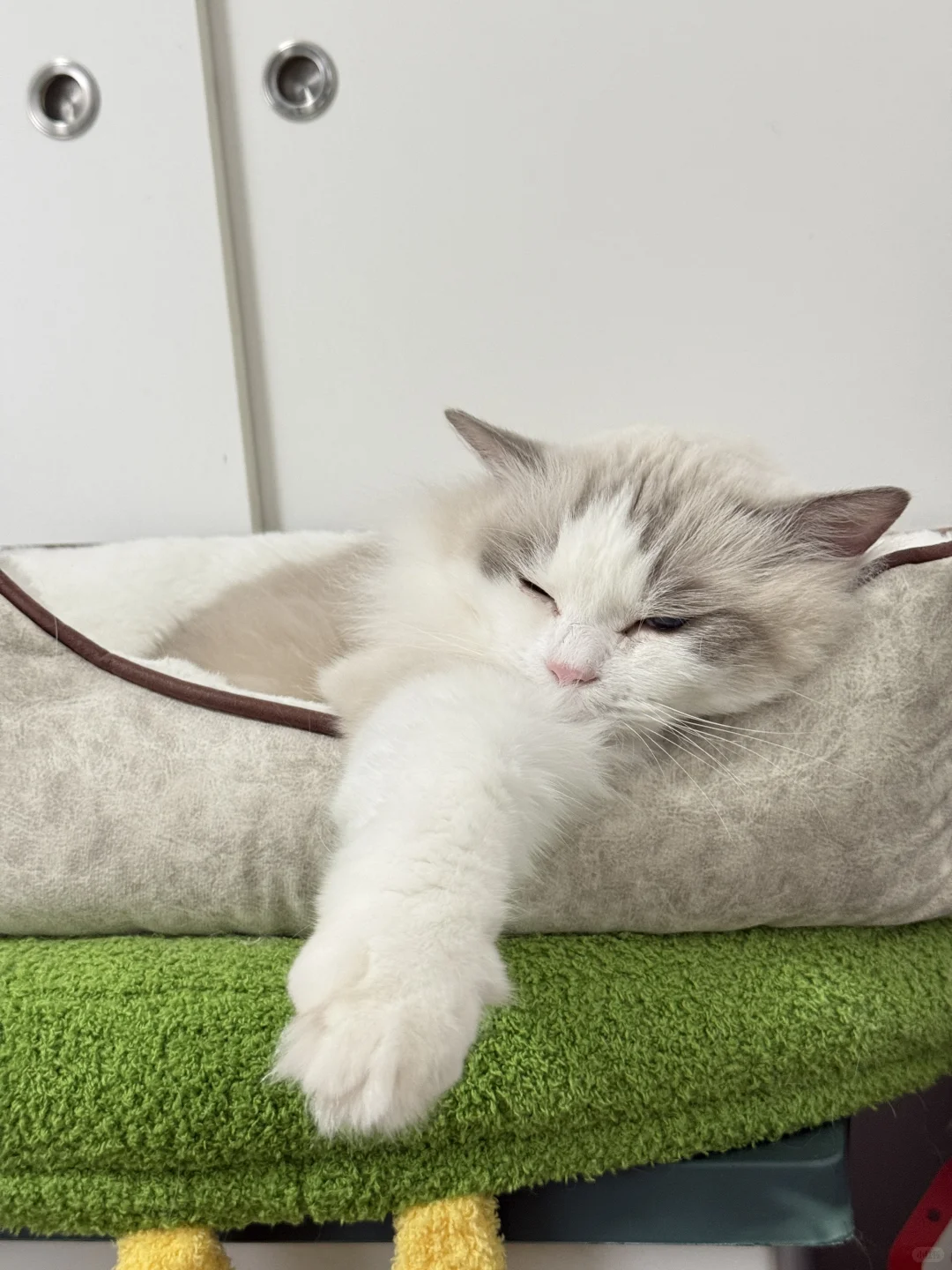 请欣赏宝的美足