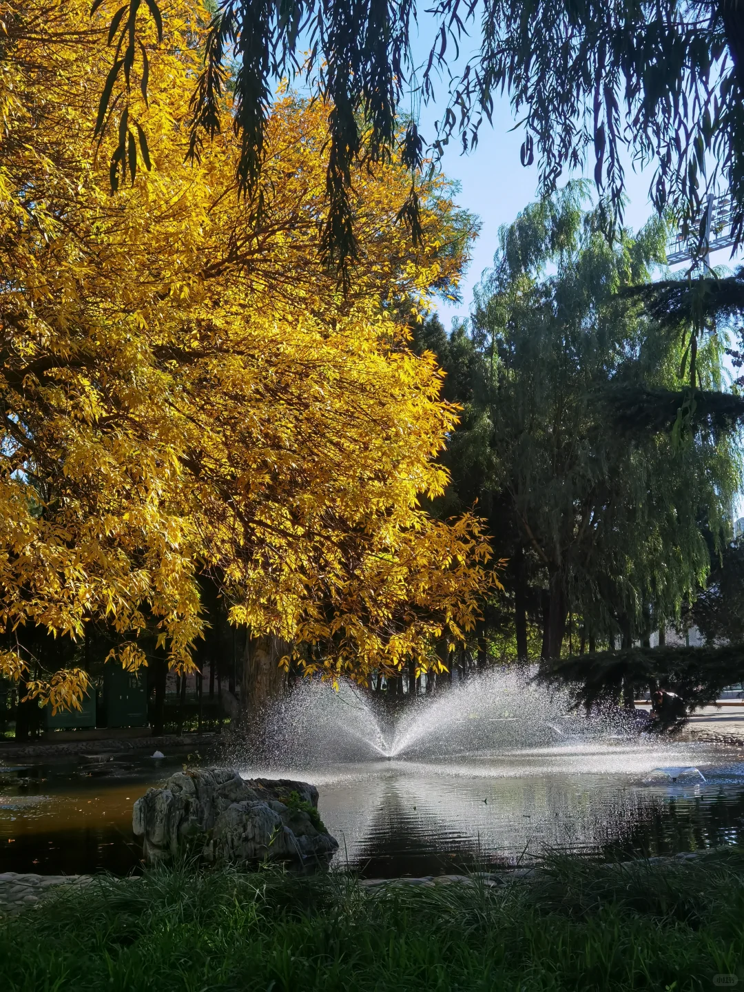 人活着就是为了这样一些鲜活的瞬间