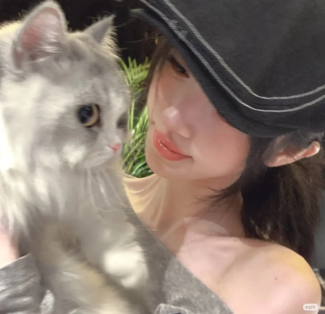 外貌显化真的有用！Day267！