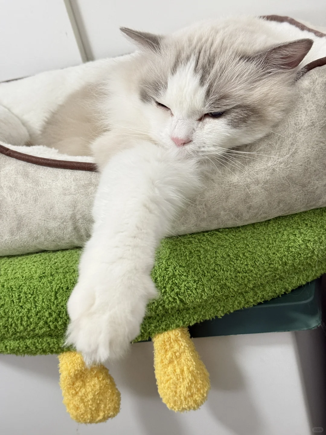 请欣赏宝的美足