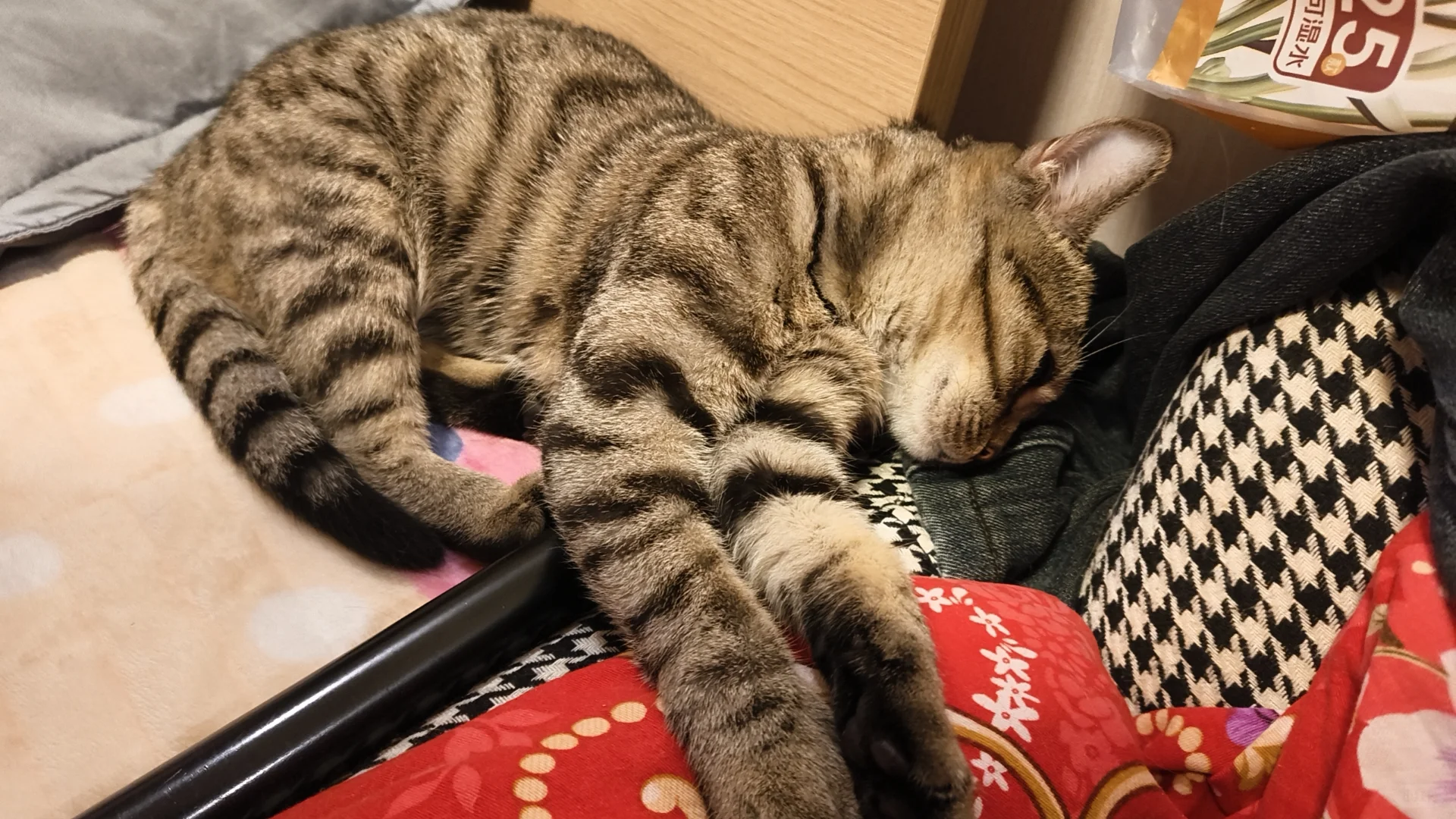 这睡姿，怕是个人🤣