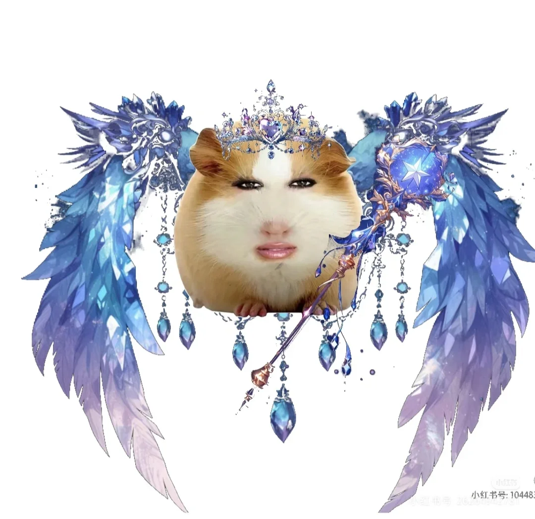 猪精图片第一期