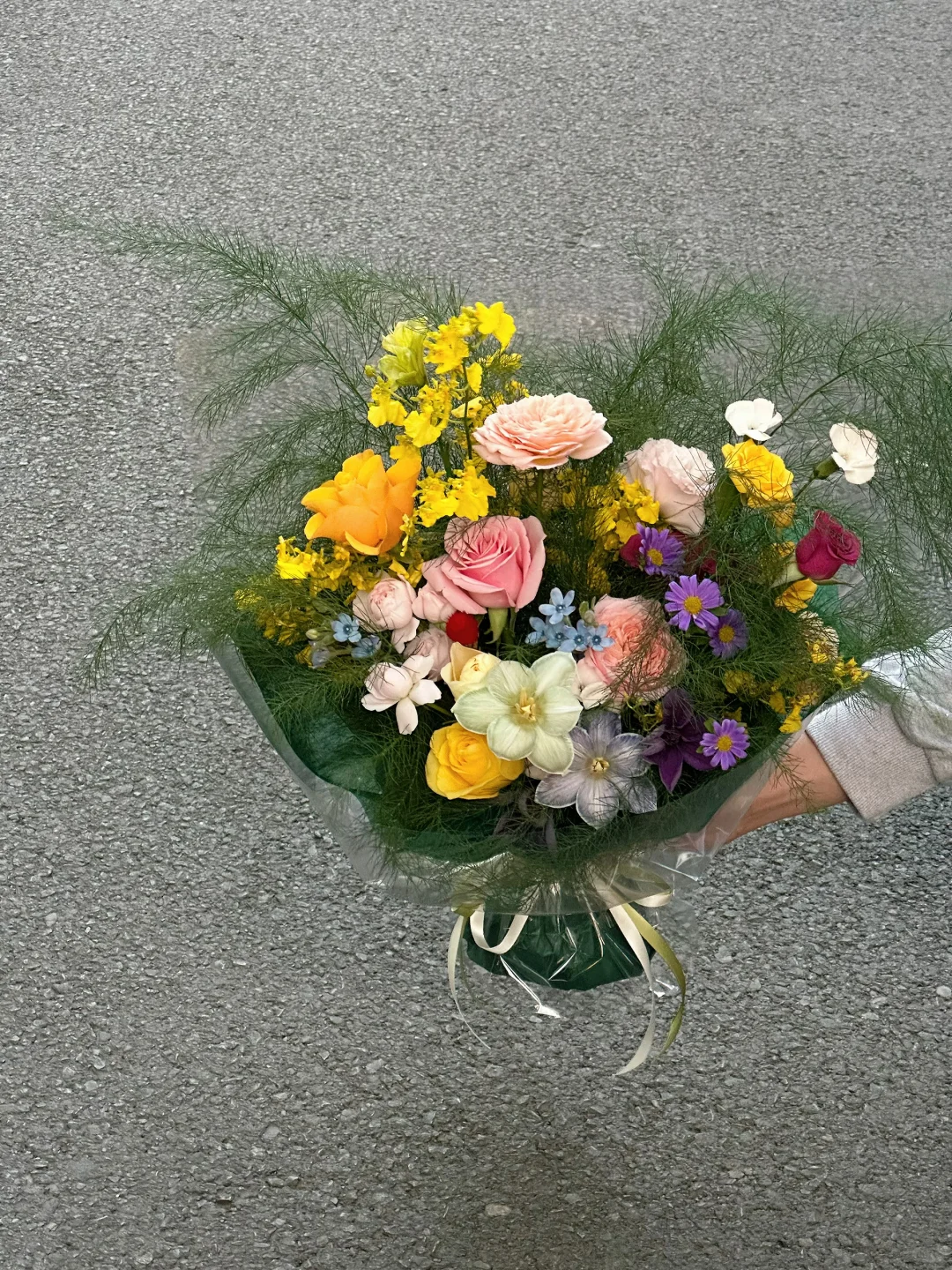 “我见青山多妩媚🫧🕊️🌿🤍”