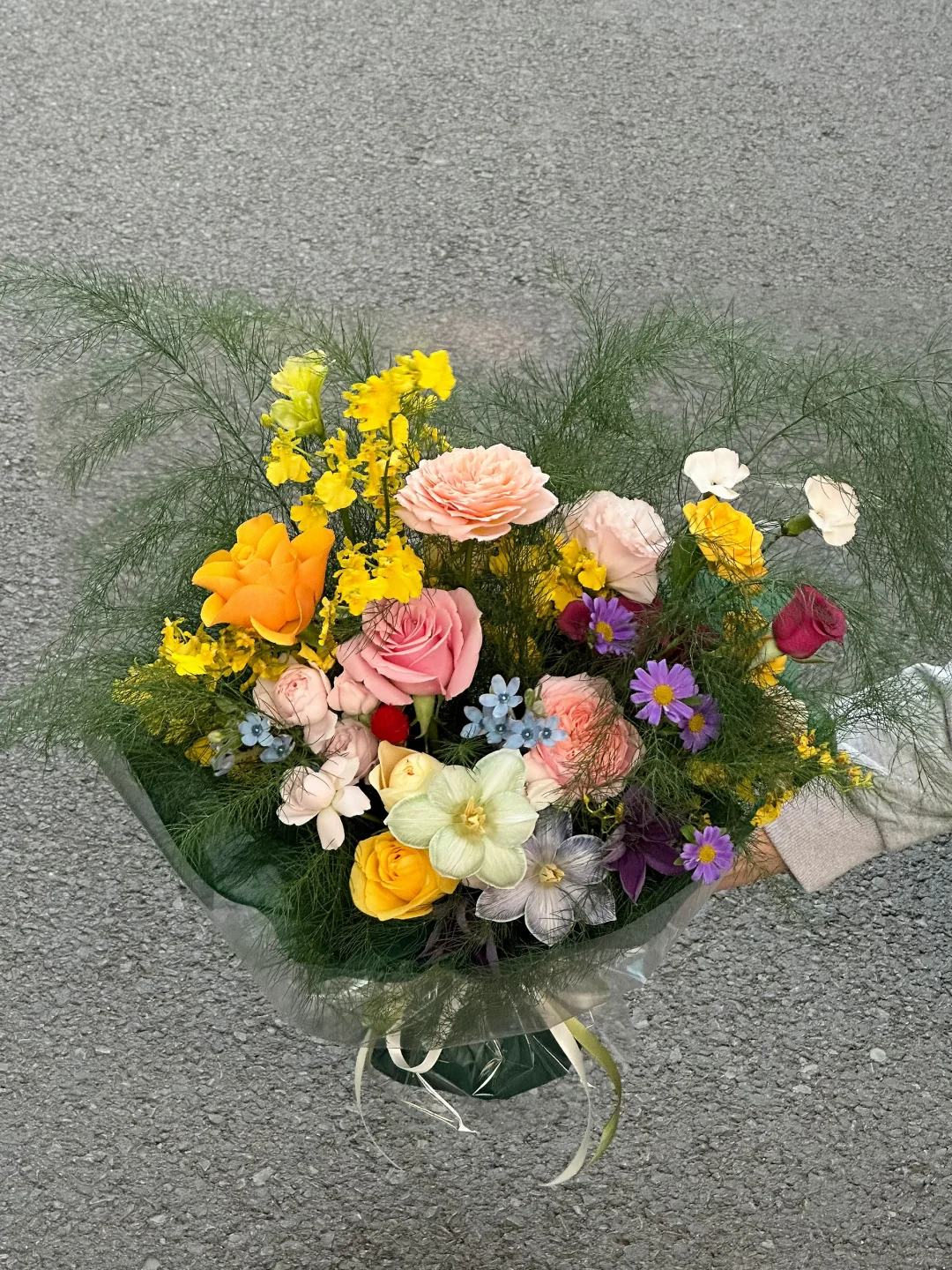 “我见青山多妩媚🫧🕊️🌿🤍”