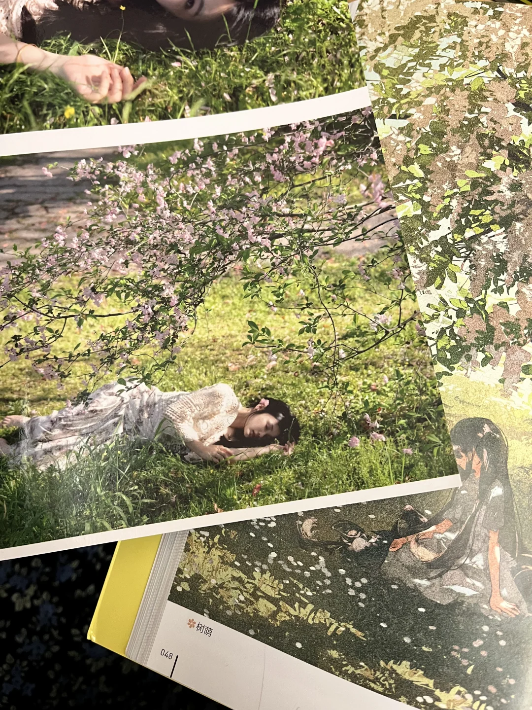 我的照片和我喜欢的画册！！！！