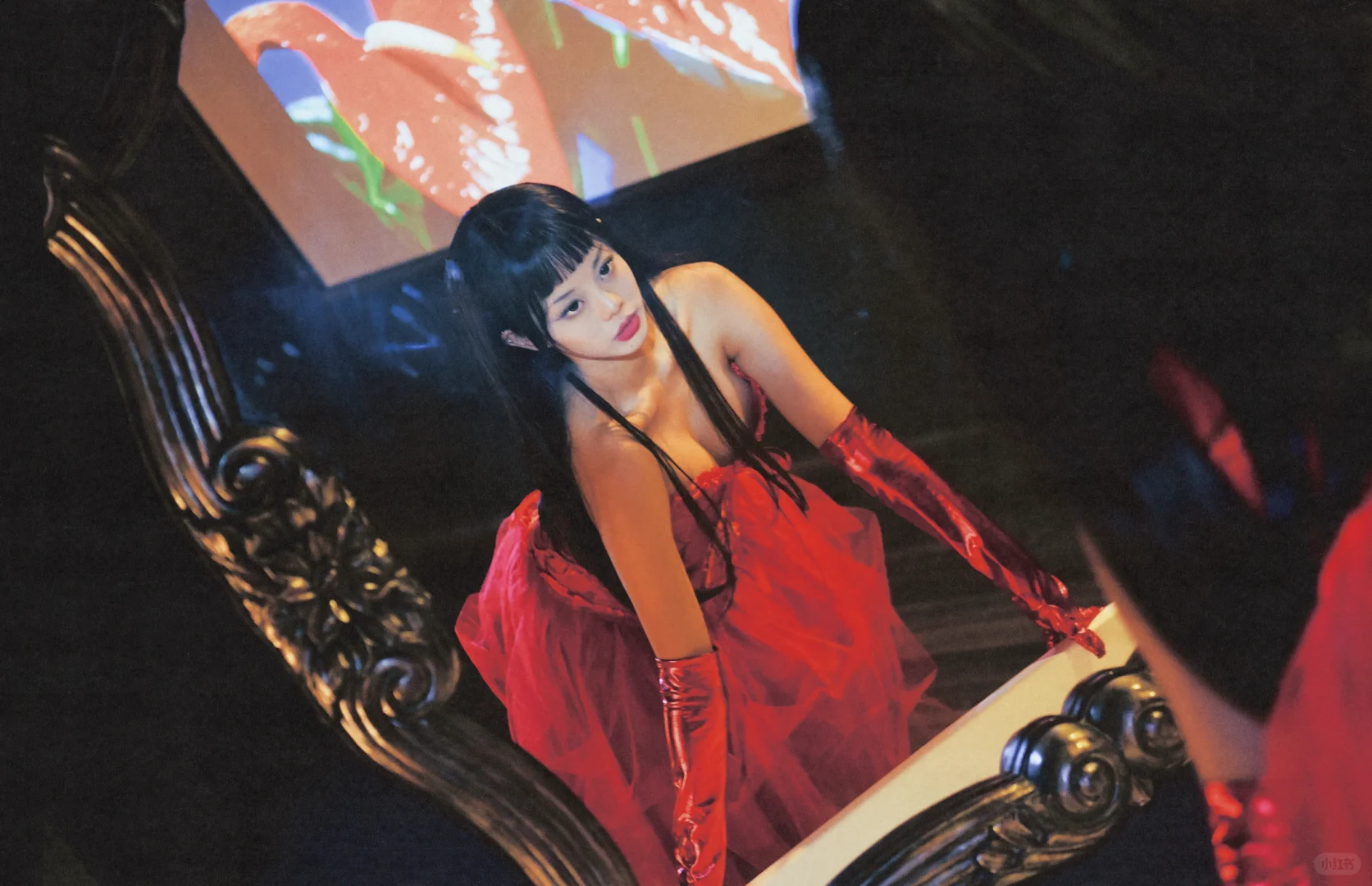 下半年拍摄汇报！