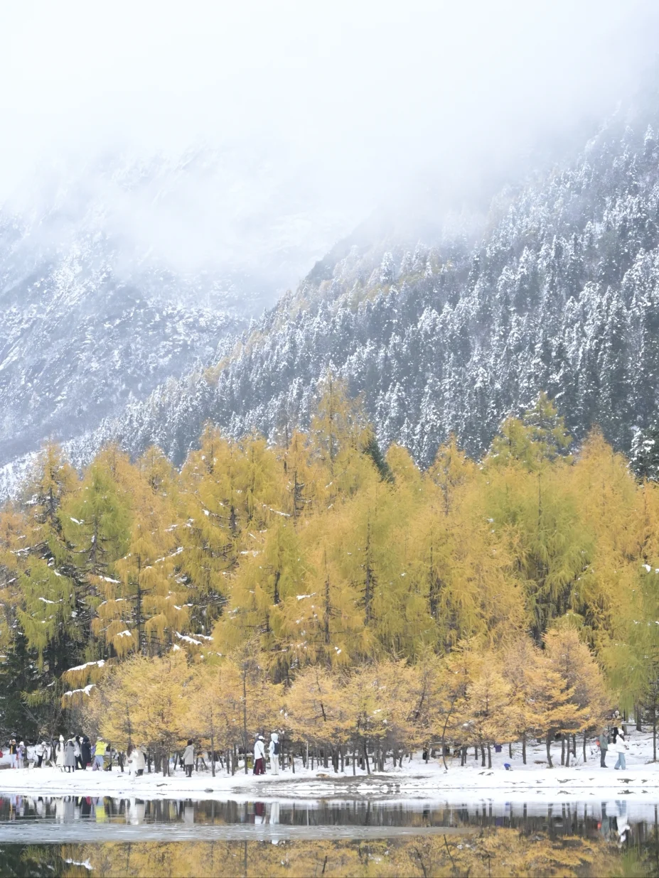 毕棚沟彩林此刻封神🍁沉醉其中无法自拔?