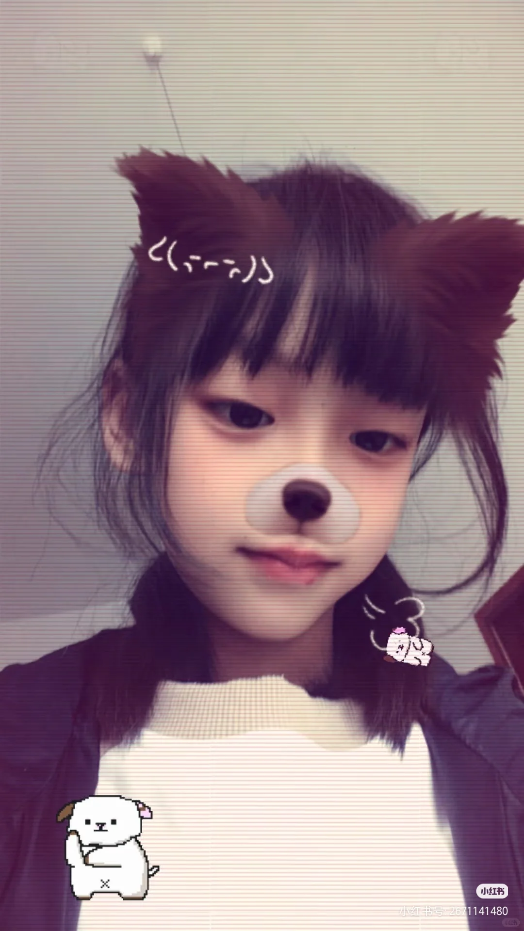 露脸,最后一期作者已停更😅