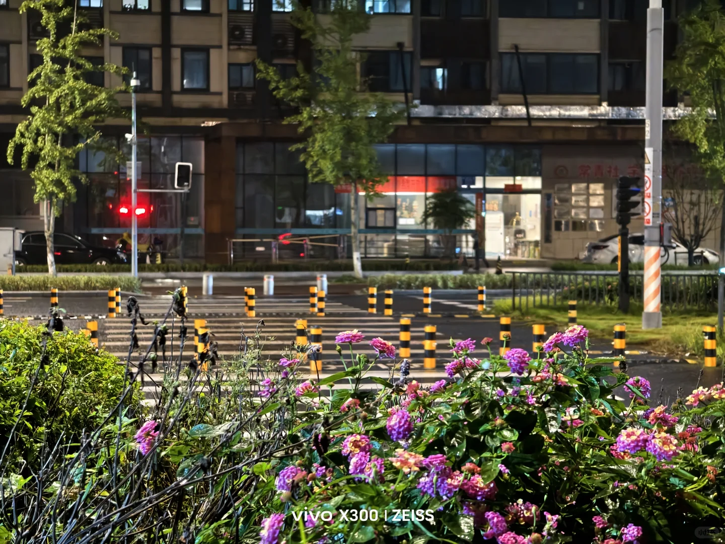 夜晚的花朵也开得这么娇艳动人